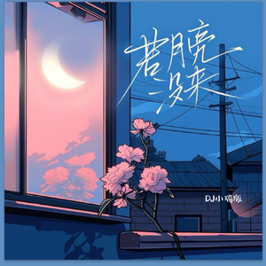 桃子视频网站免费观看网
