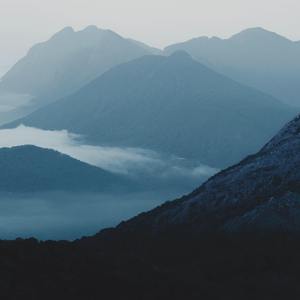 桃子视频网站免费观看网
