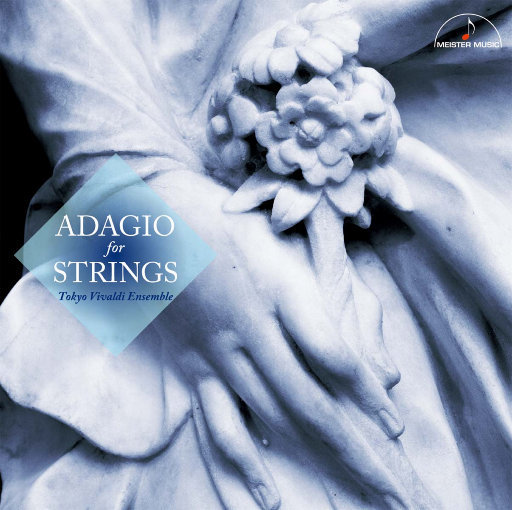 桃子视频网站免费观看网
